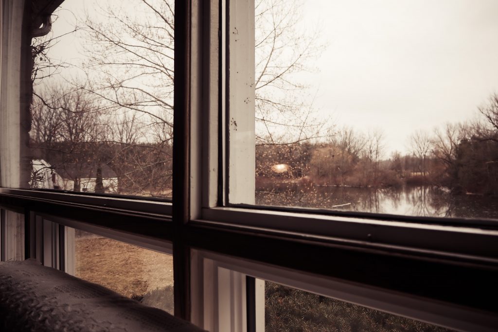 A view out of a window towards a pond and a white shed in gloomy winter weather.